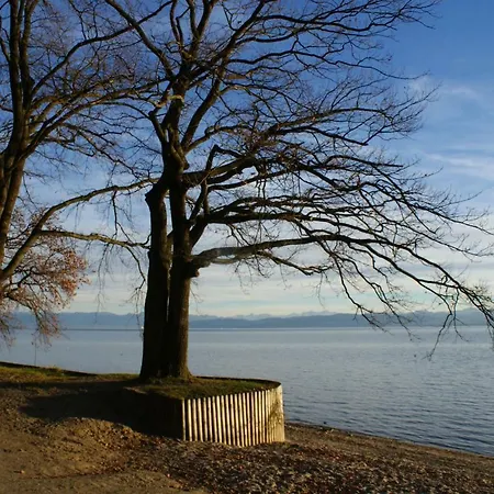 Saentis Friedrichshafen