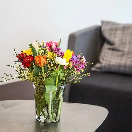 Apartament Saentis *